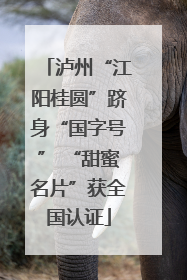 泸州“江阳桂圆”跻身“国字号” “甜蜜名片”获全国认证