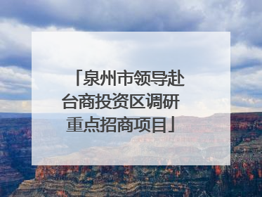 泉州市领导赴台商投资区调研重点招商项目