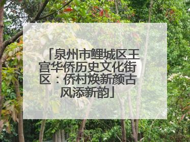 泉州市鲤城区王宫华侨历史文化街区：侨村焕新颜古风添新韵
