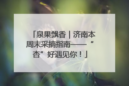 泉果飘香｜济南本周末采摘指南——“杏”好遇见你！