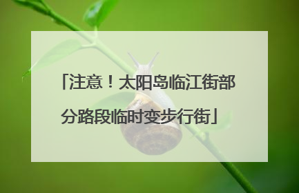 注意！太阳岛临江街部分路段临时变步行街