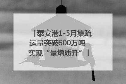 泰安港1-5月集疏运量突破600万吨 实现“量增质升”