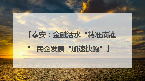 泰安：金融活水“精准滴灌” 民企发展“加速快跑”