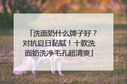 洗面奶什么牌子好？对抗夏日黏腻！十款洗面奶洗净毛孔超清爽