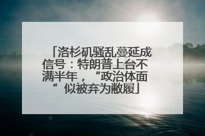 洛杉矶骚乱蔓延成信号：特朗普上台不满半年，“政治体面”似被弃为敝履