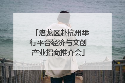 洛龙区赴杭州举行平台经济与文创产业招商推介会
