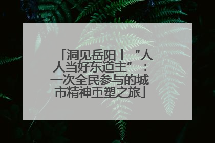 洞见岳阳丨“人人当好东道主”：一次全民参与的城市精神重塑之旅