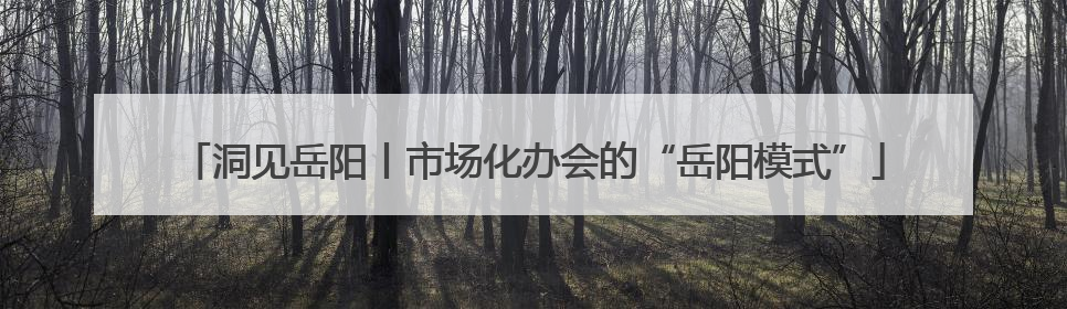 洞见岳阳丨市场化办会的“岳阳模式”
