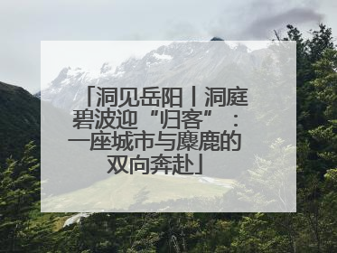 洞见岳阳丨洞庭碧波迎“归客”：一座城市与麋鹿的双向奔赴