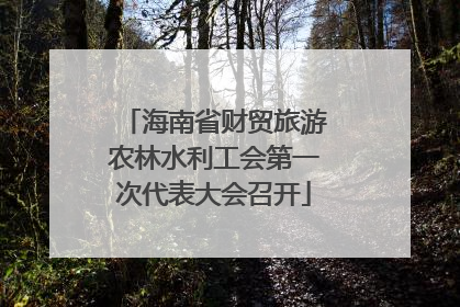 海南省财贸旅游农林水利工会第一次代表大会召开