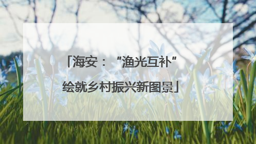 海安：“渔光互补” 绘就乡村振兴新图景