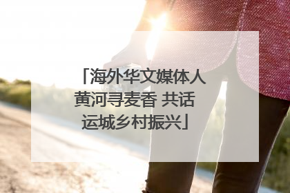 海外华文媒体人黄河寻麦香 共话运城乡村振兴