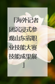 海外记者团沉浸式参观山东省职业技能大赛技能成果展