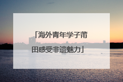 海外青年学子莆田感受非遗魅力