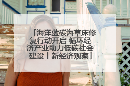 海洋蓝碳海草床修复行动开启 循环经济产业助力低碳社会建设丨新经济观察