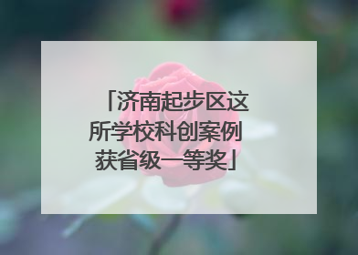 济南起步区这所学校科创案例获省级一等奖