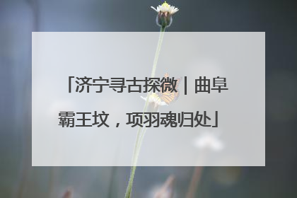 济宁寻古探微｜曲阜霸王坟，项羽魂归处