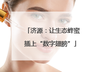 济源：让生态蜂蜜插上“数字翅膀”