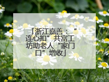 浙江嘉善：“连心扣”共富工坊助老人“家门口”增收