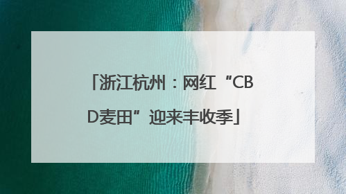 浙江杭州：网红“CBD麦田”迎来丰收季