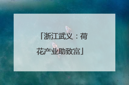 浙江武义：荷花产业助致富