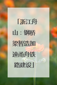 浙江舟山：钢桥梁智造加速甬舟铁路建设