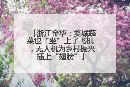 浙江金华：婺城蔬菜也“坐”上了飞机，无人机为乡村振兴插上“翅膀”