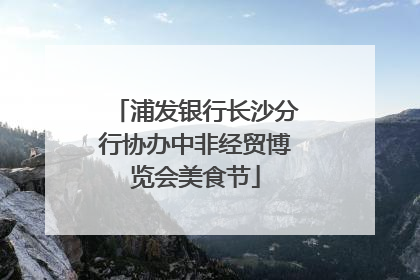 浦发银行长沙分行协办中非经贸博览会美食节