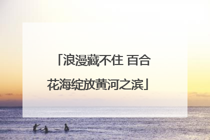 浪漫藏不住 百合花海绽放黄河之滨