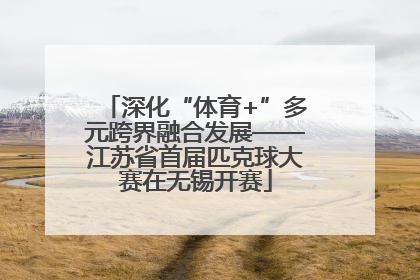 深化“体育+”多元跨界融合发展——江苏省首届匹克球大赛在无锡开赛