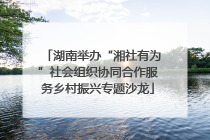 湖南举办“湘社有为”社会组织协同合作服务乡村振兴专题沙龙
