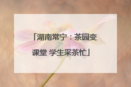 湖南常宁：茶园变课堂 学生采茶忙