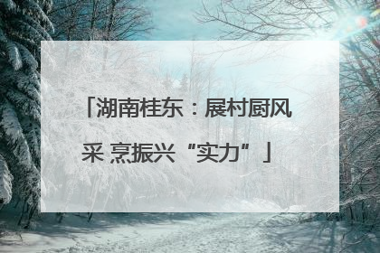 湖南桂东：展村厨风采 烹振兴“实力”
