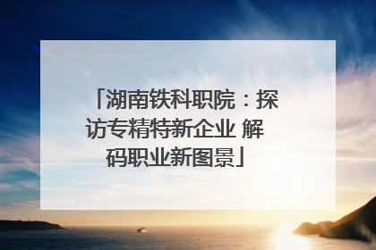 湖南铁科职院：探访专精特新企业 解码职业新图景
