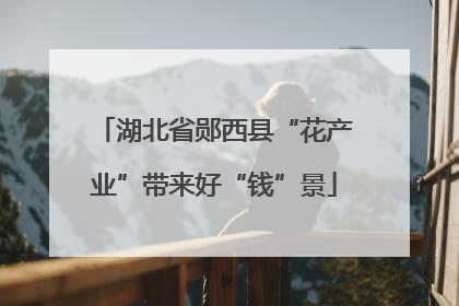 湖北省郧西县“花产业”带来好“钱”景