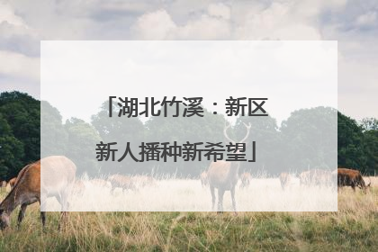 湖北竹溪：新区新人播种新希望