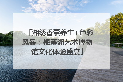 湘绣香囊养生+色彩风暴：梅溪湖艺术博物馆文化体验盛宴