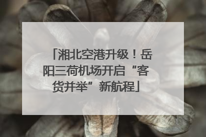 湘北空港升级！岳阳三荷机场开启“客货并举”新航程