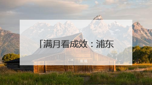 满月看成效：浦东用“两个100万”点亮青年人才梦想