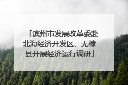 滨州市发展改革委赴北海经济开发区、无棣县开展经济运行调研