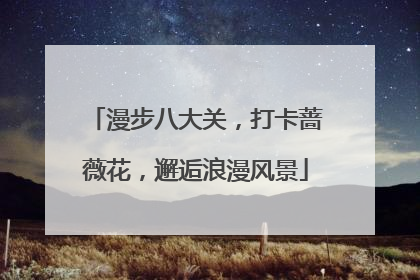 漫步八大关，打卡蔷薇花，邂逅浪漫风景