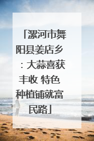 漯河市舞阳县姜店乡：大蒜喜获丰收 特色种植铺就富民路