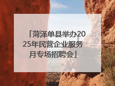菏泽单县举办2025年民营企业服务月专场招聘会
