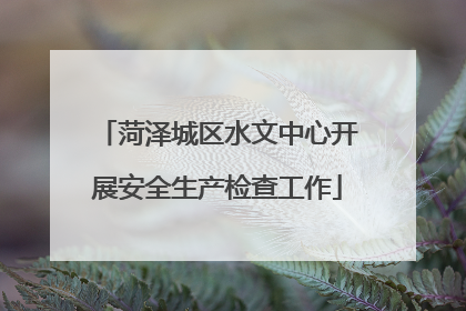 菏泽城区水文中心开展安全生产检查工作