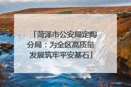 菏泽市公安局定陶分局：为全区高质量发展筑牢平安基石