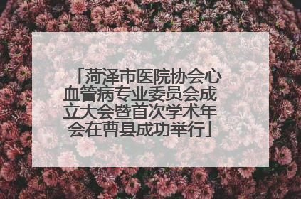 菏泽市医院协会心血管病专业委员会成立大会暨首次学术年会在曹县成功举行