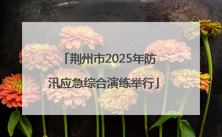 荆州市2025年防汛应急综合演练举行