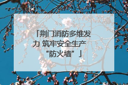 荆门消防多维发力 筑牢安全生产“防火墙”