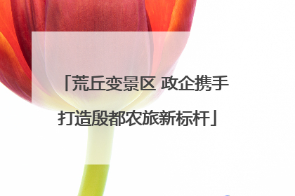 荒丘变景区 政企携手打造殷都农旅新标杆