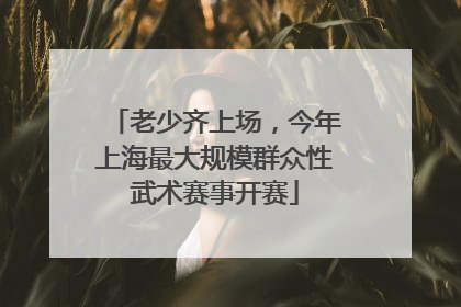 老少齐上场，今年上海最大规模群众性武术赛事开赛